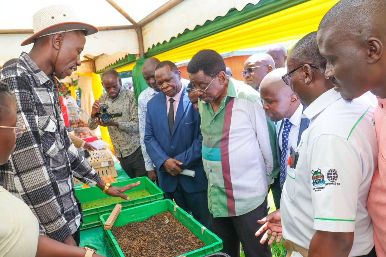 Siaya County deepens agricultural transformation through NAVCDP investments