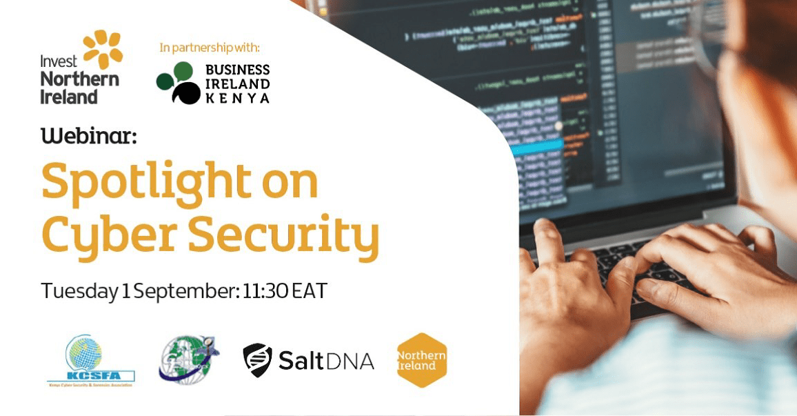 Business Ireland Kenya to host sector-focused engagements