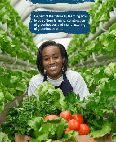 How to apply KCB’s Niko Waks Programme