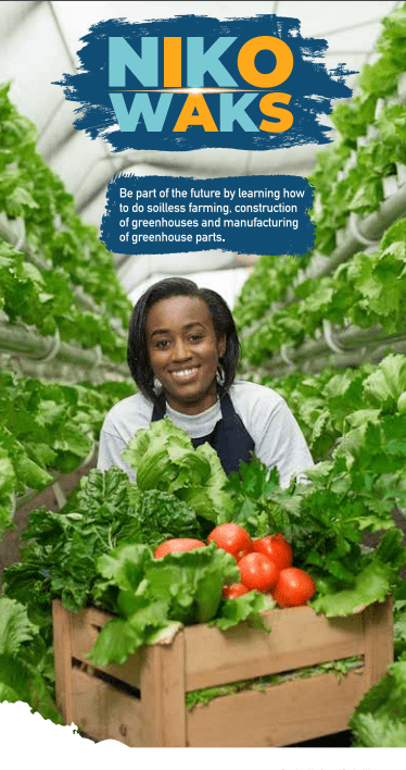 How to apply KCB's Niko Waks Programme