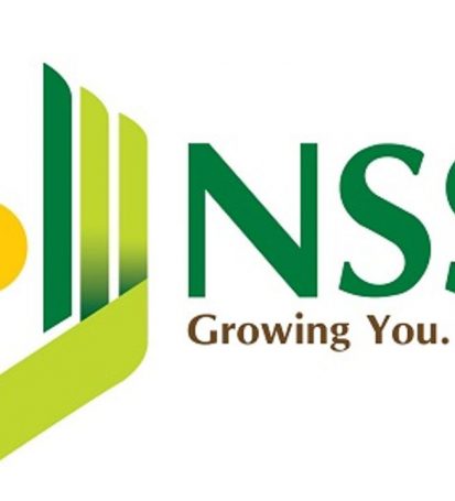  How To Check Your NSSF Statement Online