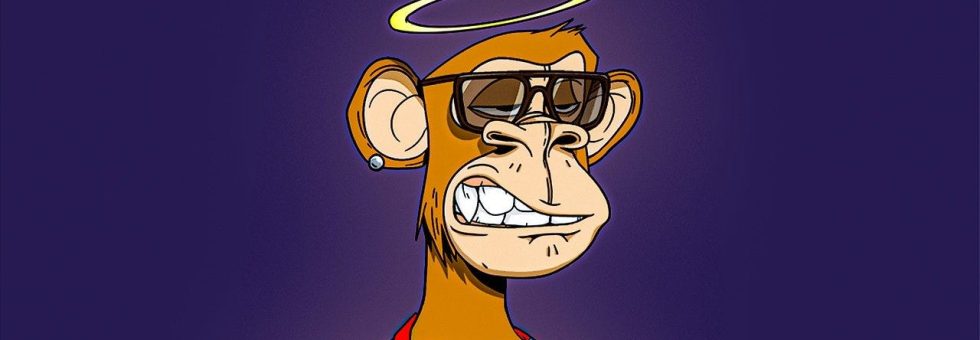 World's Most Googled NFT Questions