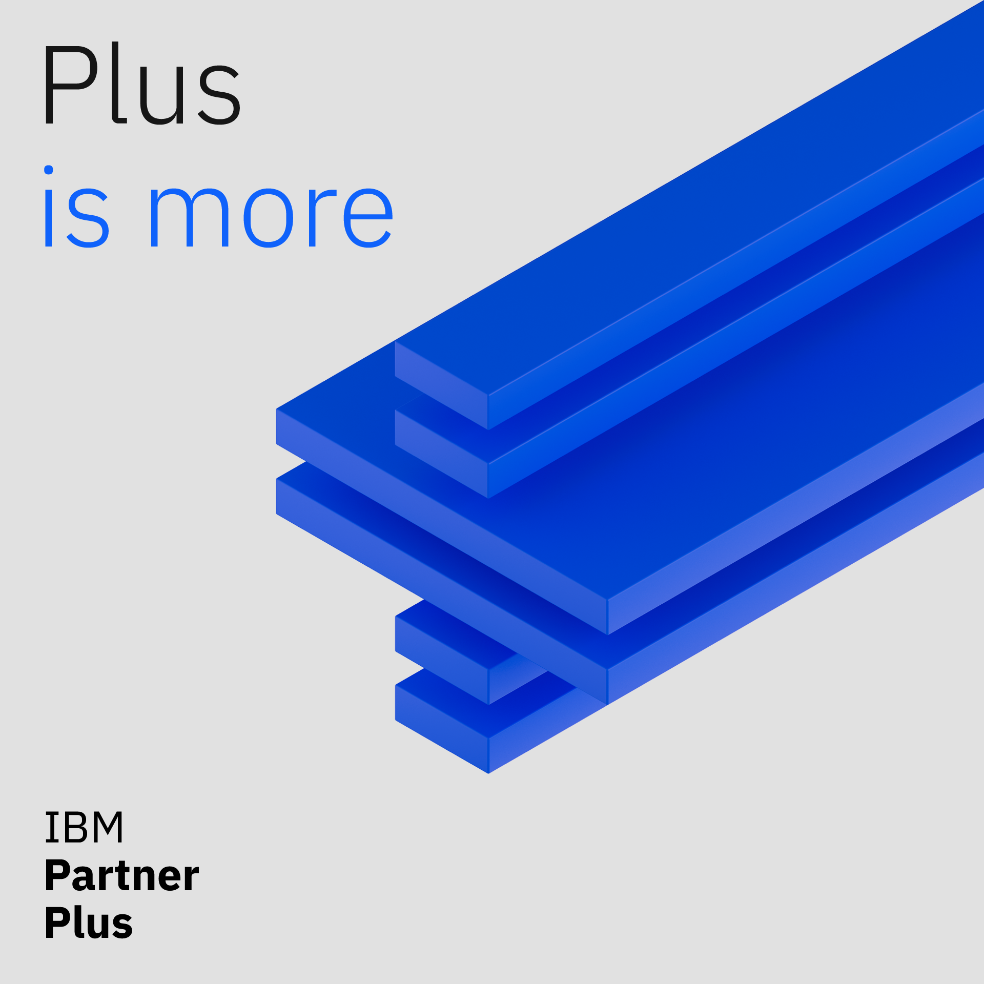 IBM Partner Plus Program