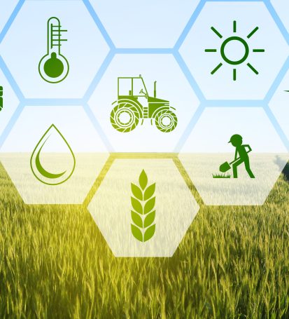 Blockchain and Agriculture – Promoting Transparency and Sustainability in the Food Supply Chain