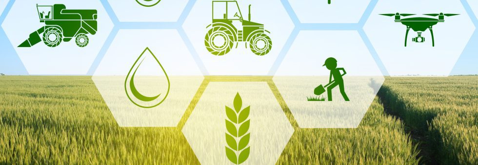 Blockchain and Agriculture - Promoting Transparency and Sustainability in the Food Supply Chain