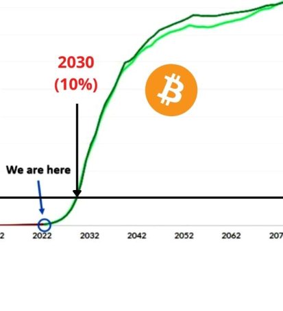A Cost-Benefit Analysis of Bitcoin Adoption in Developing Countries