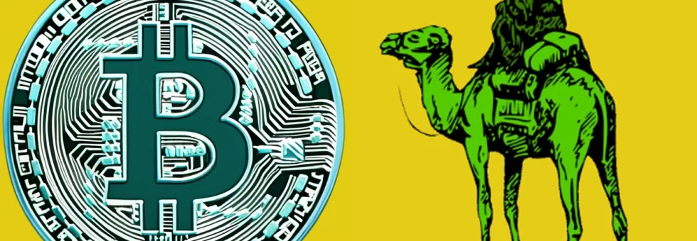 Exploring The Dark Side - Bitcoin and The Silk Road