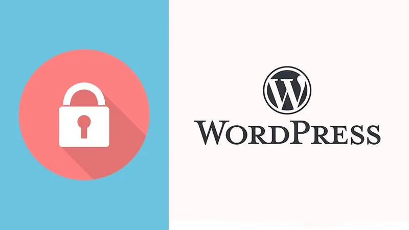 Best WordPress Malware Scanners and Vulnerability Plugins