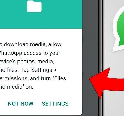 How to Stop WhatsApp from Saving Media to Your Phone