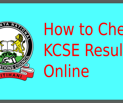 How to Check 2025 KCSE Results Online: Step-by-Step Guide