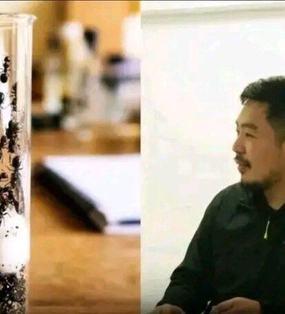 Chinese National Arrested With 2,200+ Live Ants at Nairobi Airport